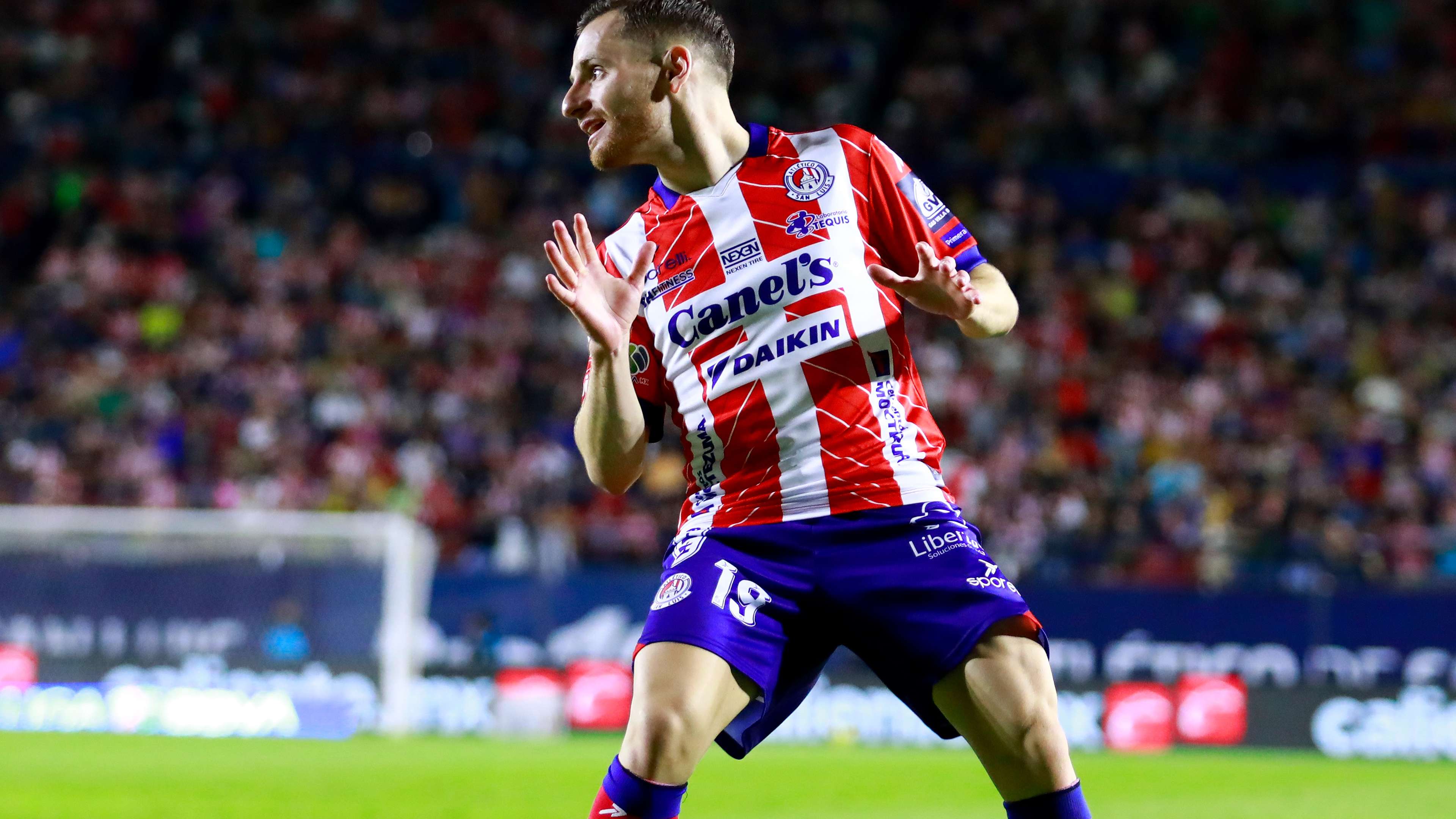 的统治力 的统治力